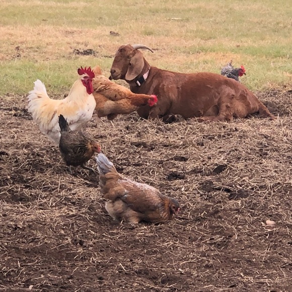 Meet your Posher, Edna - Picture 13 of 15